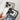 Butterfly Pattern Electroplated PC + Glass Phone Case, For iPhone 17 Pro Max, For iPhone 17 Pro, For iPhone 17, For iPhone 16 Pro Max