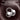 D MOOSTER D95 OWS Ear-Mounted ENC Bluetooth Earphones