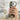 Litchi Texture Card Bag Ring Holder Vegan Leather + PC Phone Case with Shoulder Strap, For iPhone 16 Pro, For iPhone 16 Plus, For iPhone 16