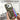 Litchi Texture Card Bag Ring Holder Vegan Leather + PC Phone Case with Shoulder Strap, For iPhone 15 Pro Max, For iPhone 15 Pro, For iPhone 15 Plus
