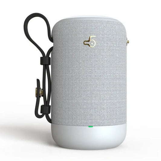 T5 Bluetooth audio