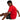 V6H3114472B55DC022DFC15BB194B19BE29R4660772P4