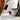 V2HBF377884408152018BBDEF2AAB537128R7731258P8