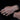V5H5EBE4603C41530D8AC5A424C8701972CR7641118P3