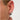 V2H3DAF1A550C891C037312CA1D07C1E16DR7615115P2