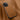 HUIYI Leather Magnetic Phone Case, For iPhone 16, For iPhone 15 Pro Max, For iPhone 15 Pro, For iPhone 15 Plus  For iPhone 16 Pro / Brown