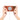 Denior Peony Series Electroplated Magnetic Phone Case, For iPhone 17 Pro Max, For iPhone 17 Pro, For iPhone 17, For iPhone Air, For iPhone 16 Pro Max, For iPhone 16 Pro  