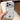 Starry Sequin Diamond PC Phone Case, For iPhone 17 Pro Max, For iPhone 17 Pro, For iPhone 17, For iPhone 16 Pro Max  