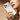 Electroplated Magnetic PC Hybrid PU Phone Case, For iPhone 17 Pro Max, For iPhone 17 Pro, For iPhone 17, For iPhone 16 Pro Max, For iPhone 16 Pro, For iPhone 16, For iPhone 15 Pro Max, For iPhone 15 Pro  