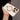 Ice Frosted Texture Magnetic Phone Case, For iPhone 17 Pro Max, For iPhone 17 Pro, For iPhone 17, For iPhone 16 Pro Max, For iPhone 16 Pro, For iPhone 16  