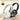 Lenovo TB300 Over-ear Dual-mode Smart Noise Reduction Bluetooth Earphone  