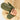 V2H72F5ADC9A9399AA3DC219784E896B7C2R7700957P5