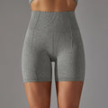  6621 Shorts - Gray AB